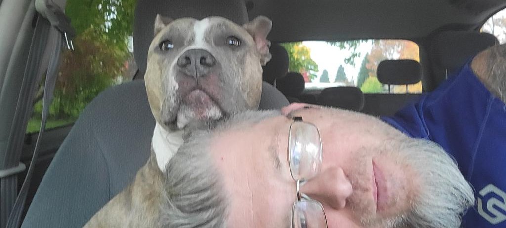 DoxRyan's tweet photo. Just a scruffy boy & his silly #doggo!
#Pitbull #doggodad https://t.co/5qlgmcwk1c