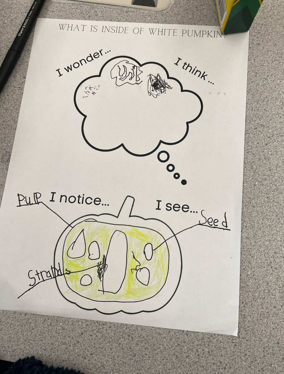 MsParbeeBrar's tweet photo. Pumpkin Investgation: What’s inside of a white pumpkin? @RoyalHeightsBC @Surrey_Schools #sd36learn https://t.co/N5poFtqWsD