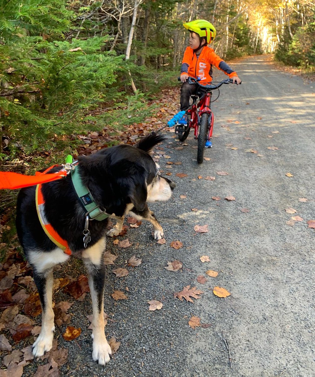 Sarah Warford tweet media