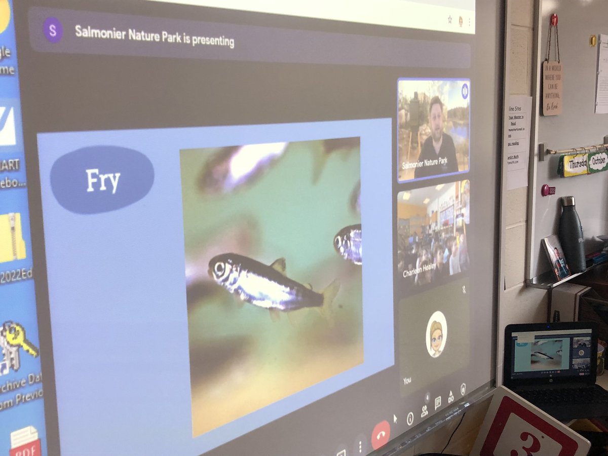 Ms. Healey (@mshealey2) on Twitter photo The grade 2’s <a href="/eastpointelem/">East Point Elem</a> had a fantastic time today learning about the life cycle of the Atlantic salmon. Thank you Salmonier Nature Park for this informative presentation. Everyone learned so much and made remarkable connections. #salmoniernaturepark <a href="/EDU_GovNL/">Education and Early Childhood Development</a> <a href="/NLESDCA/">NLESD</a> The grade 2’s <a href="/eastpointelem/">East Point Elem</a> had a fantastic time today learning about the life cycle of the Atlantic salmon. Thank you Salmonier Nature Park for this informative presentation. Everyone learned so much and made remarkable connections. #salmoniernaturepark <a href="/EDU_GovNL/">Education and Early Childhood Development</a> <a href="/NLESDCA/">NLESD</a>