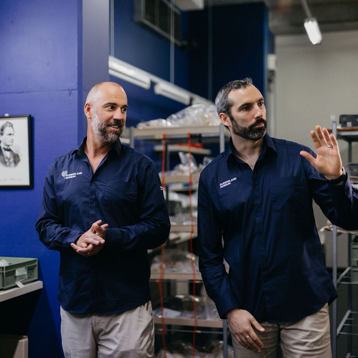 Queensland Museum Tropics tweet media