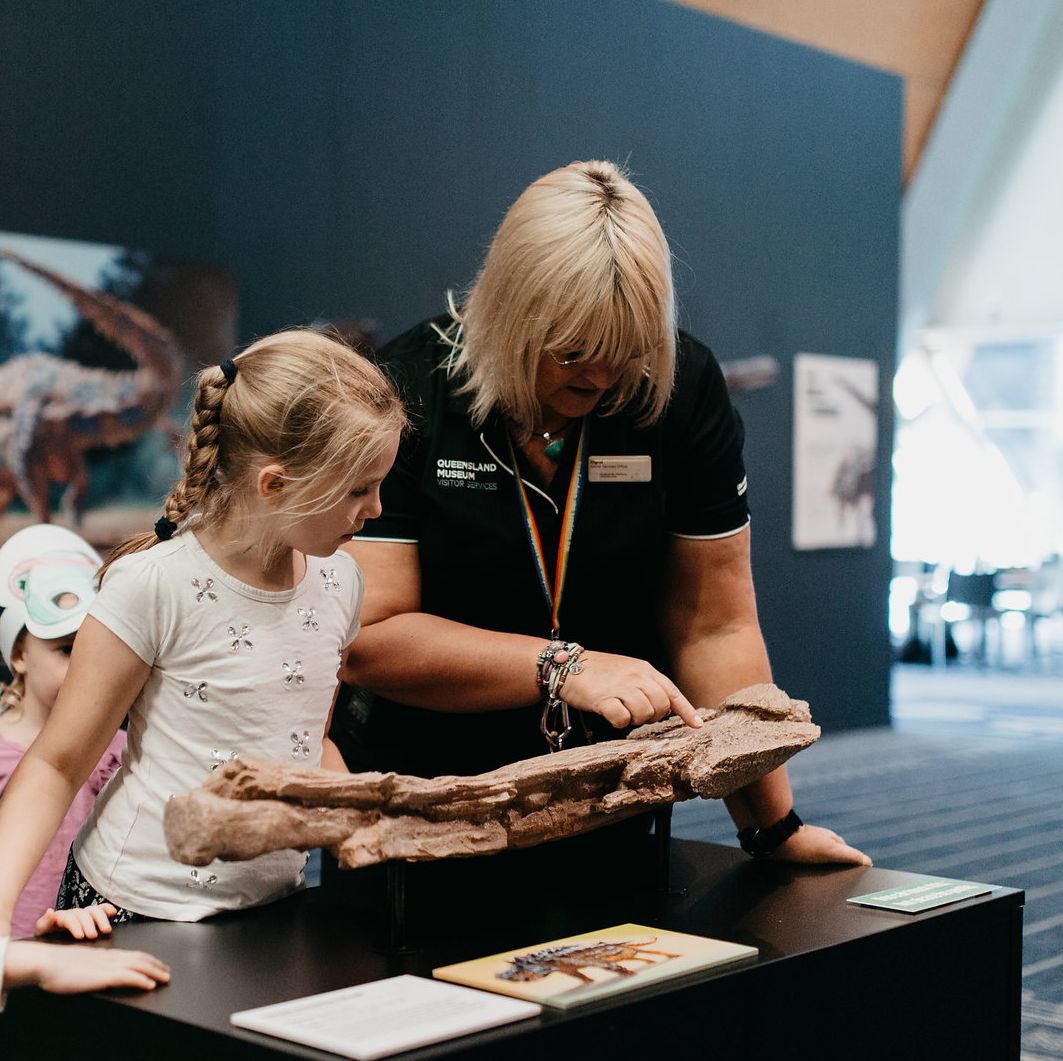 Queensland Museum Tropics tweet media