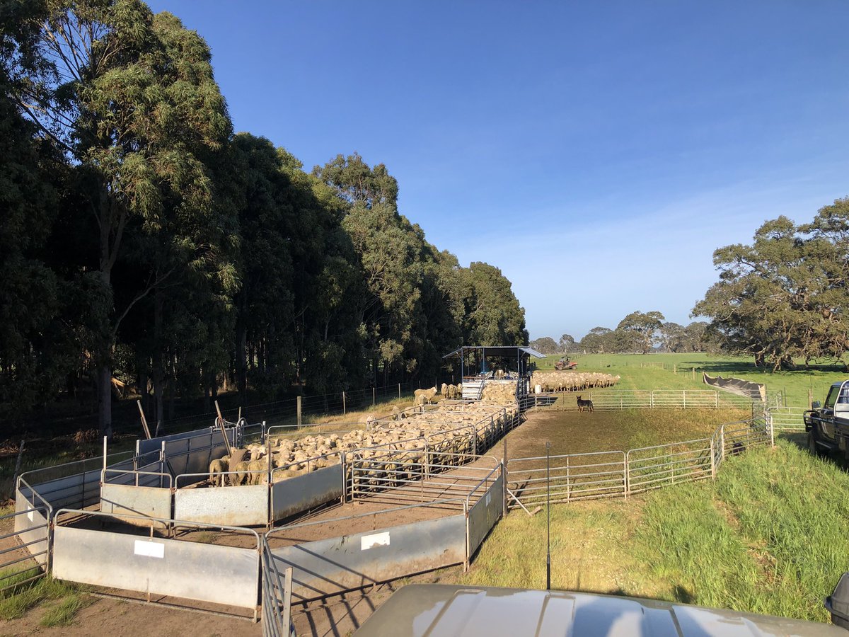 Bad day to be a tail