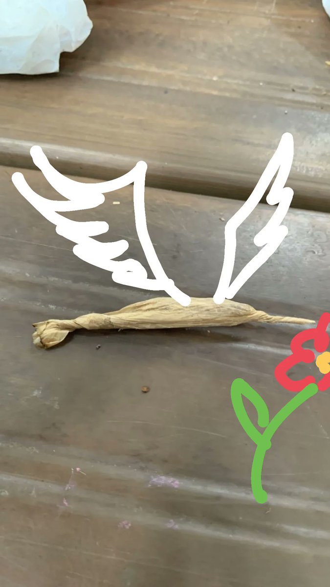 Bastardo_7's tweet image. 