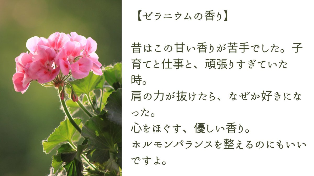 奈南有花 アロマライター Bluestar1971 Twitter 奈南有花 アロマライター Bluestar1971 Twitter