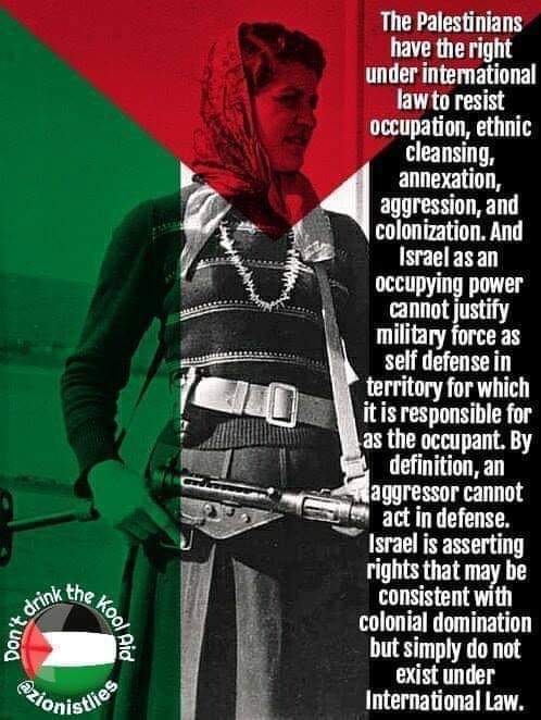 HaliaV4non's tweet photo. Goodnight brothers and sisters❤✊🙏🏼
#FreePalestine #FreeGaza #InternationalComunity
#HumanRightsViolations https://t.co/8GkTXvD0Z1