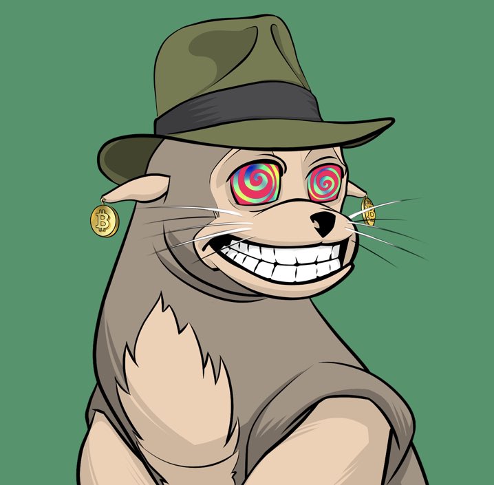 @rebelsealsnft Indiana is back 🤠#rebelseals