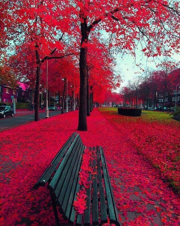 Magnetiseur (@magnetiseur16) on Twitter photo 