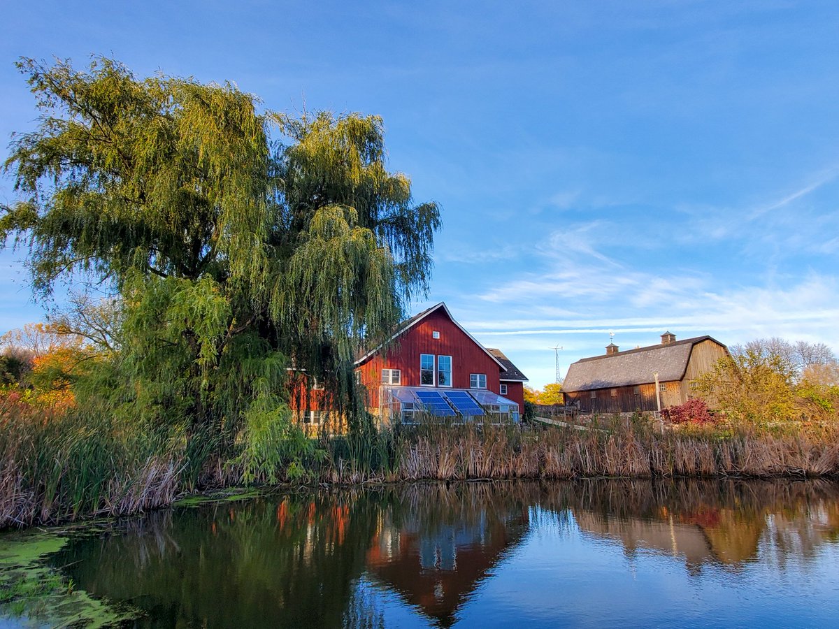 Ohsaraschmitt's tweet image. Holy crap, it's cold!!! Brrrrr!!!
But, it's also very pretty. 
#Minnesota #MNFall