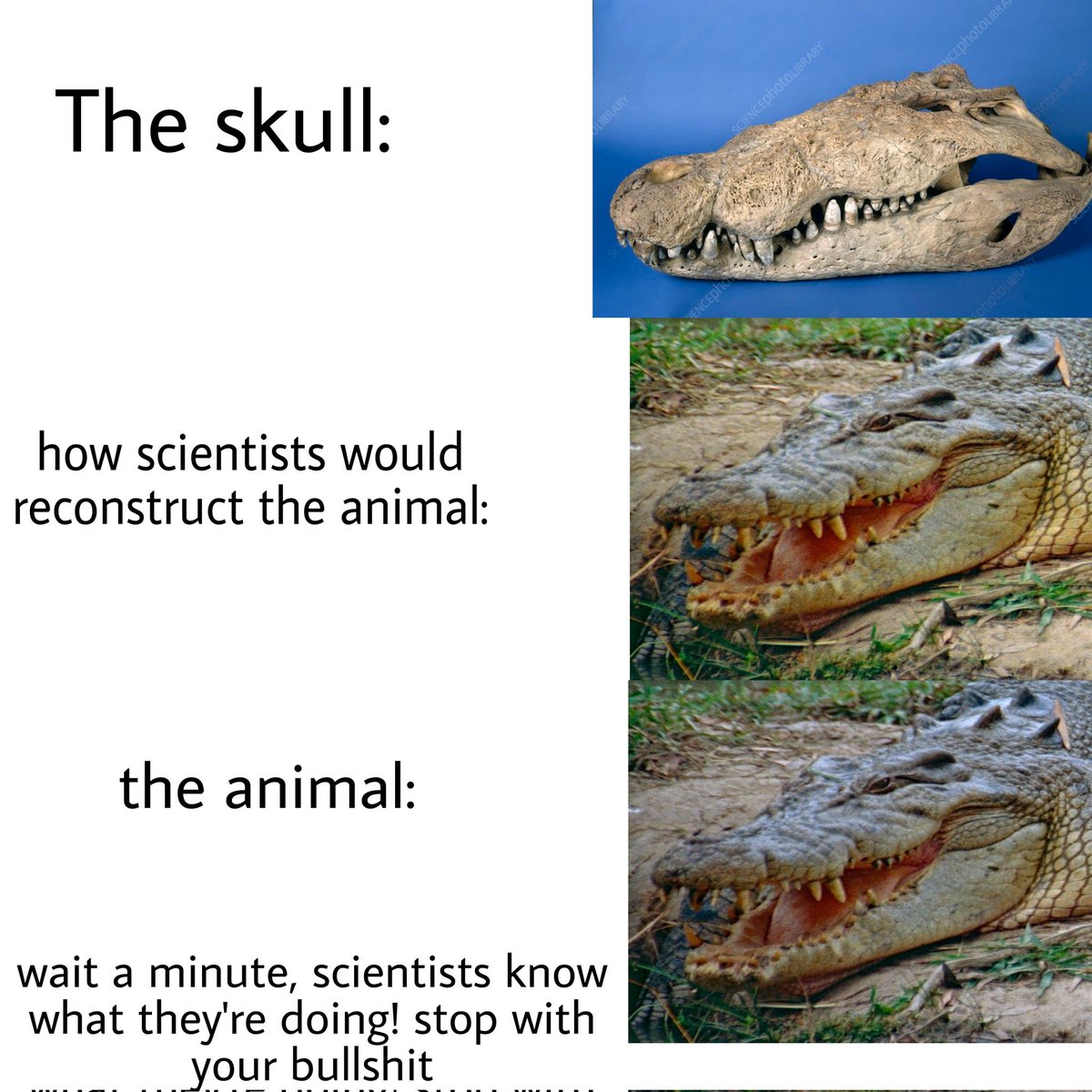 Lesbian Springtrap (#1 Mutadon fan) (C0MM5 open!) tweet media