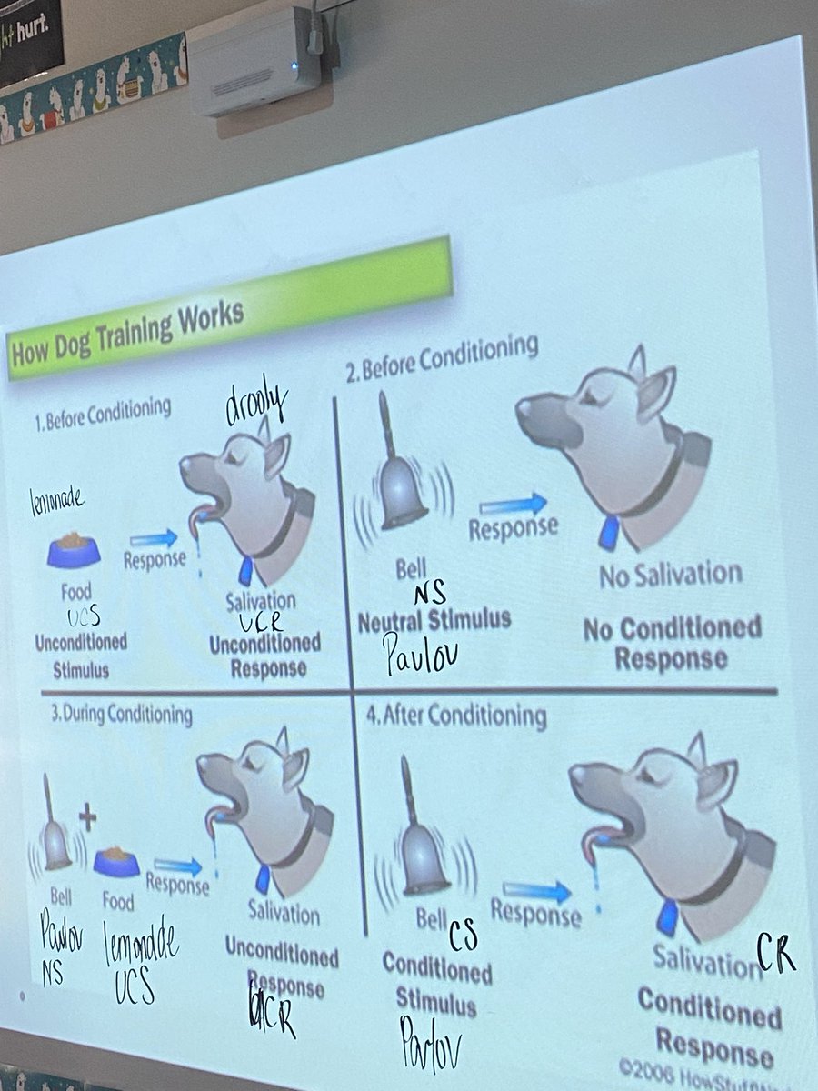 kim fritch tweet media