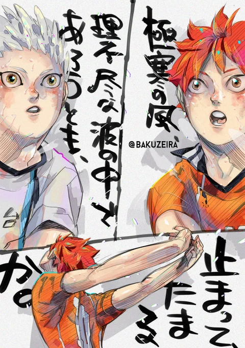Let's just have more #hoshihina #Haikyuu 