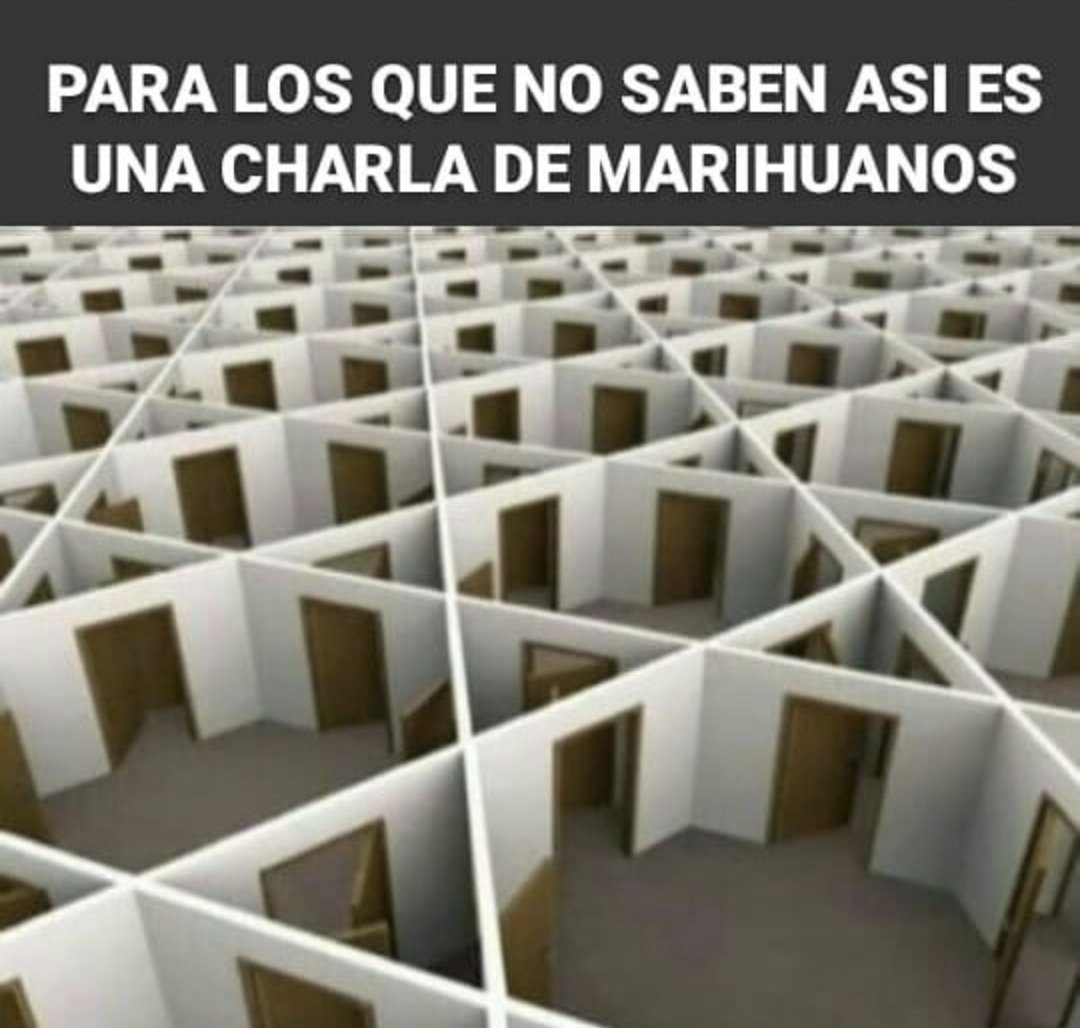 Tal cual ...🤣🤣🤣