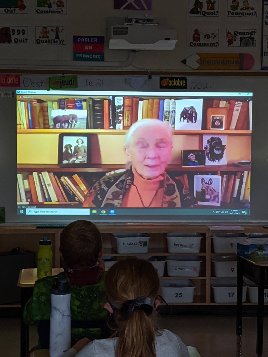 MmeScott08's tweet photo. Today we took some time to listen to Jane Goodall.  Thank you to @takemeoutside for hosting this.  @BaysidePublic @HPEschools https://t.co/936urCKxf1