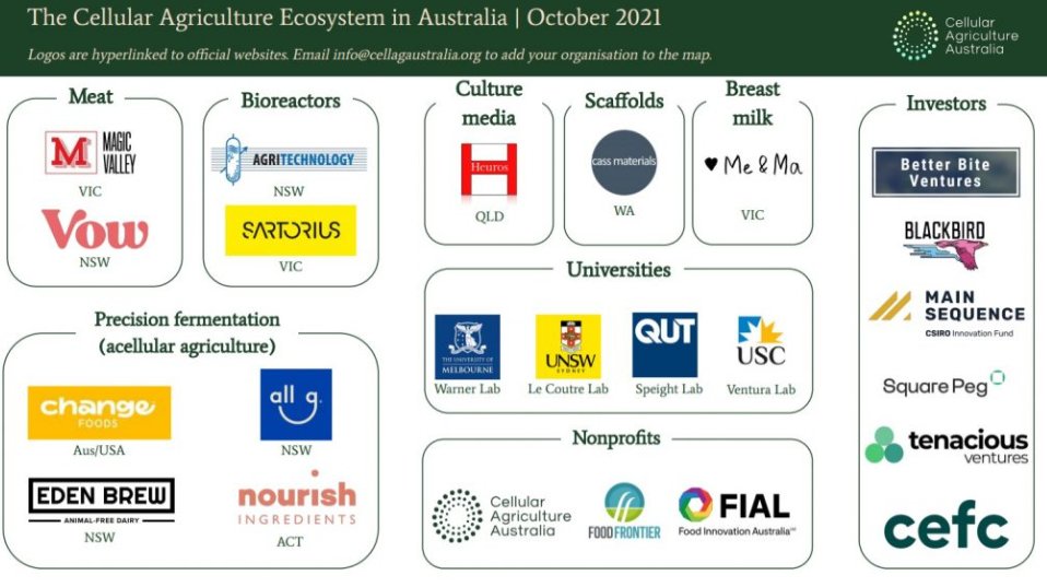 We've released the October edition of the Australian Cell Ag Ecosystem map!

Notable additions this month include @allgfoods, <a href="/QUT/">QUT</a>, and <a href="/CEFCAus/">CEFC</a>.

Sign up to our newsletter now to get a copy of the map at midday!

…culturreaustralia.us2.list-manage.com/subscribe?u=7e…