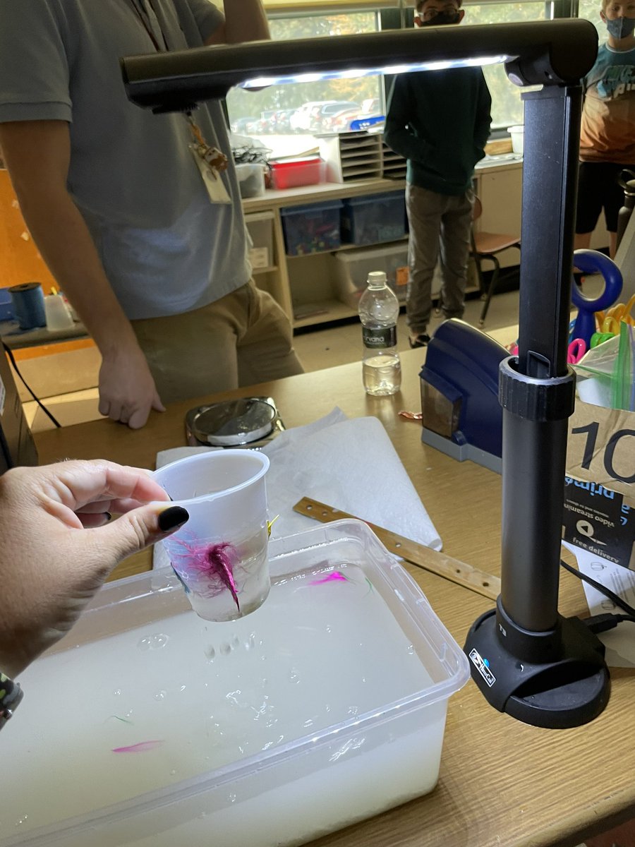 BethAnne DiFonso tweet media