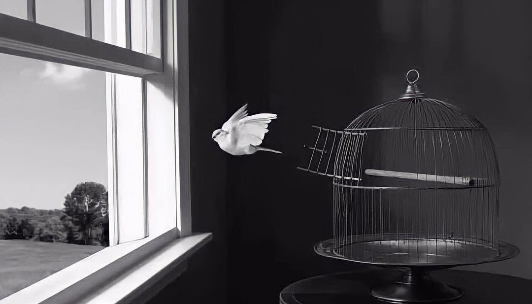 Дүүлэн нис ✌️
Өглөөний мэнд жиргээ 🥰