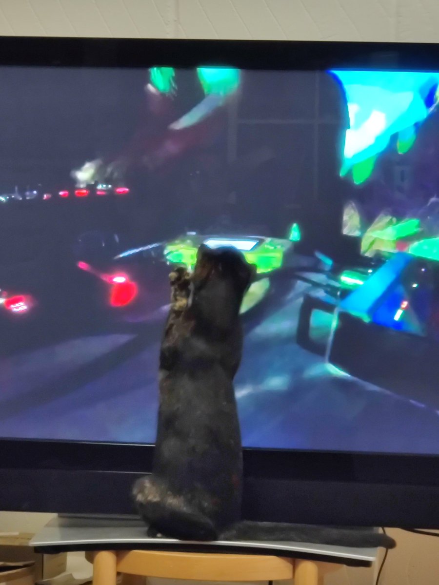 <a href="/MishManners/">✨ Michelle "MishManners" Duke 🍩</a> <a href="/twilio/">twilio</a> <a href="/TwitchDev/">TwitchDev</a> Thank you for tuning in!
My cat Li is enjoying it too 😊

<a href="/TimPietrusky/">Inactive, follow @NERDDISCO</a> <a href="/LiveJS_network/">⚡️🎶 {Live:JS} 🎶⚡️</a>