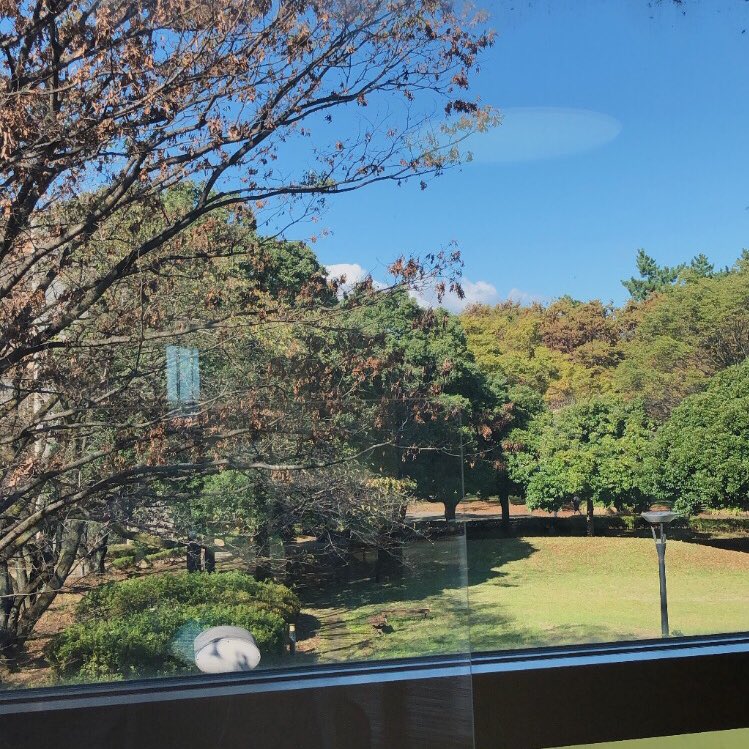 cabbagejane's tweet photo. first week in university!!! 
アパートにはまだWi-Fiがなくて今大学のWi-Fi使ってる🥲 #studytwt https://t.co/BA1LgYGbxr