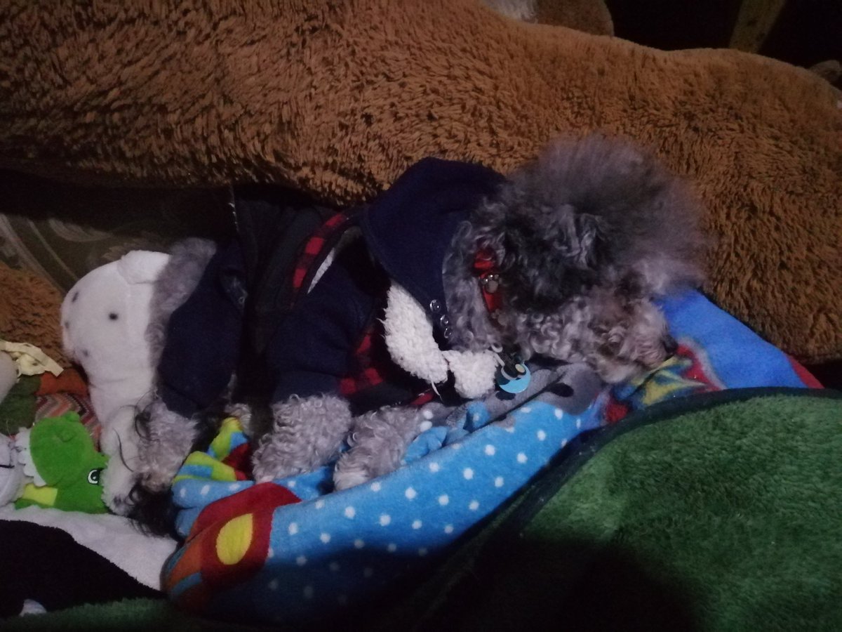 Buenas noches friens 😘