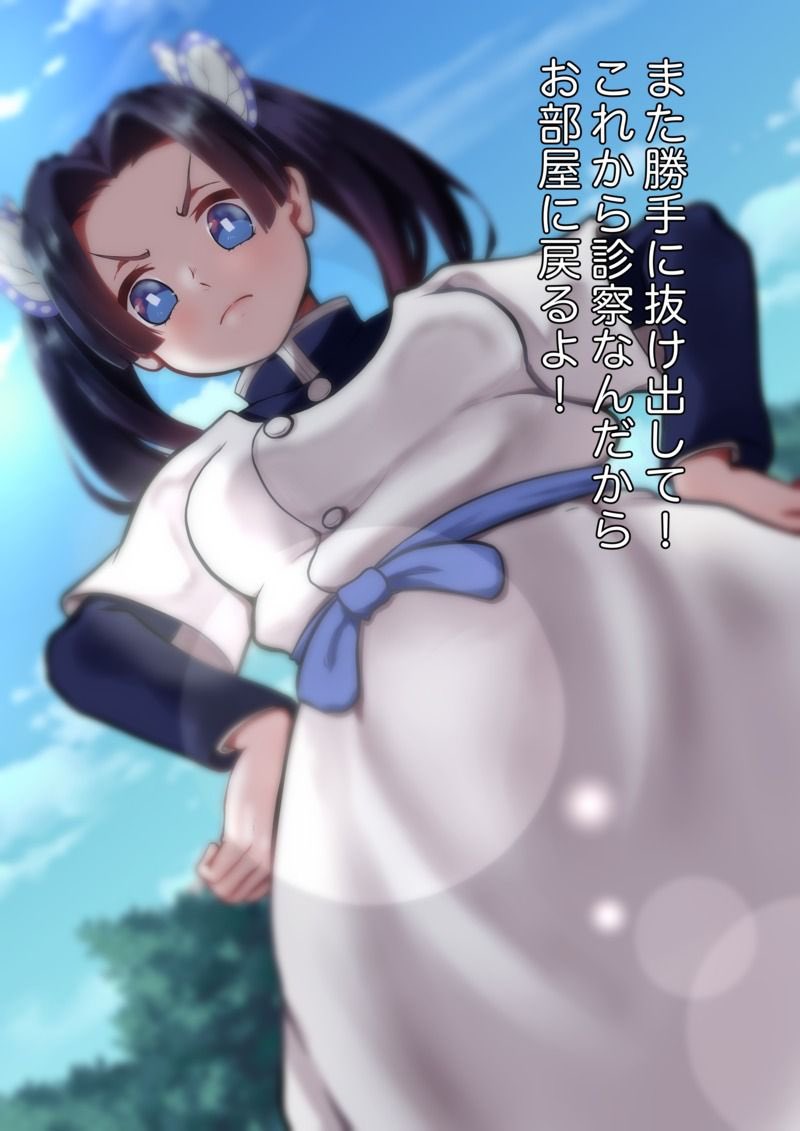 アオイちゃんと伊之助

#鬼滅の刃 #神崎アオイ 