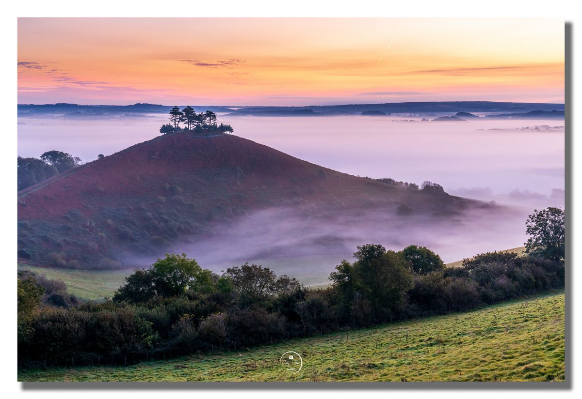 Back to the iconic Colmer's Hill,  for today's photo - with the hill surrounded by a sea of fog as the first colours of dawn light the sky. If you like it please give it a RT!

<a href="/ThePhotoHour/">#ThePhotoHour</a> <a href="/StormHour/">#StormHour</a> @VisitDorset <a href="/DorsetLifeMag/">Dorset Life</a> 
#Dorset #Autumn #photooftheday #FridayFeeling