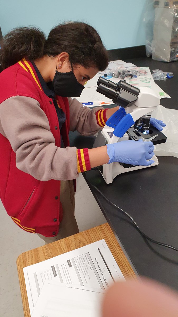 beglisapayev's tweet photo. #PLTW #ABQ_SE
Hair Sample Observation. https://t.co/BqbagDj89F