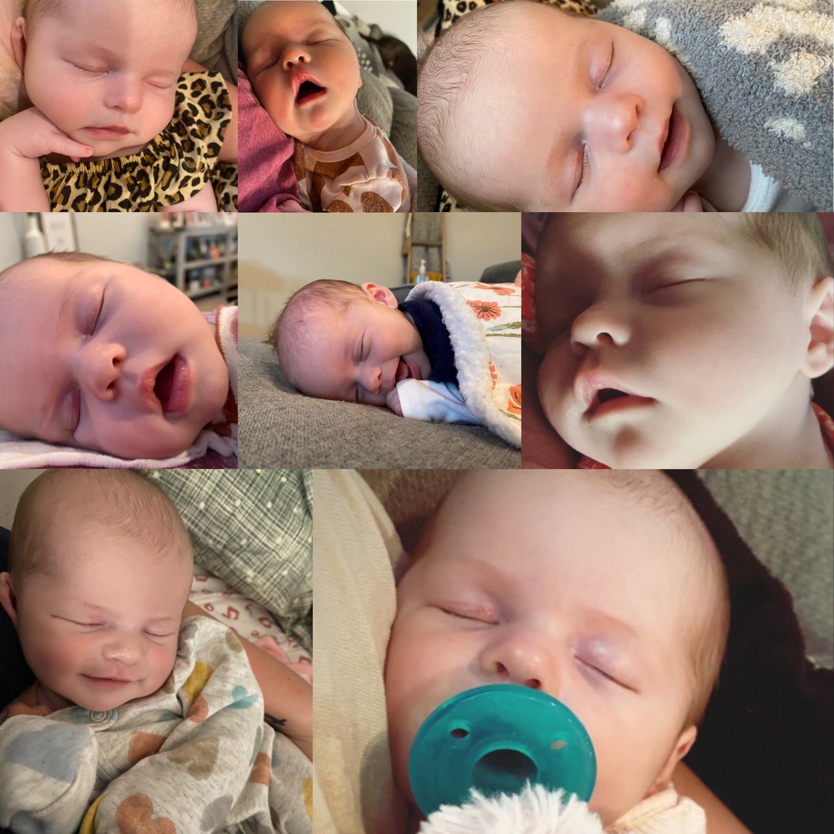 I’m not sure that it gets much cuter than this!💚