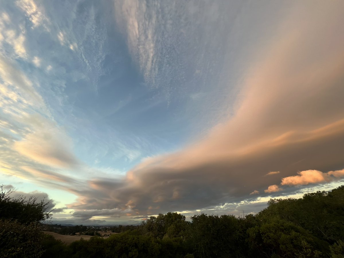 Alexander Wong tweet media