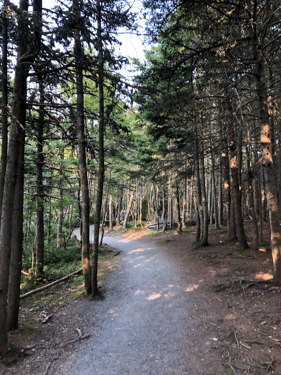 cbctom's tweet photo. Post a pic you took with no description and bring some Zen to the timeline https://t.co/JLKPP3XI9Z