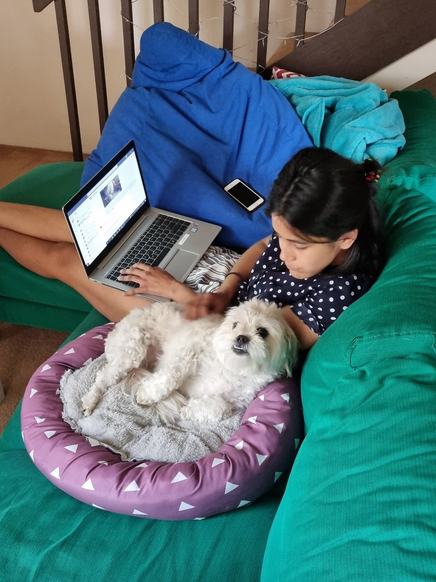 We've got a work from home visitor today! Makes taking zoom classes very distracting!