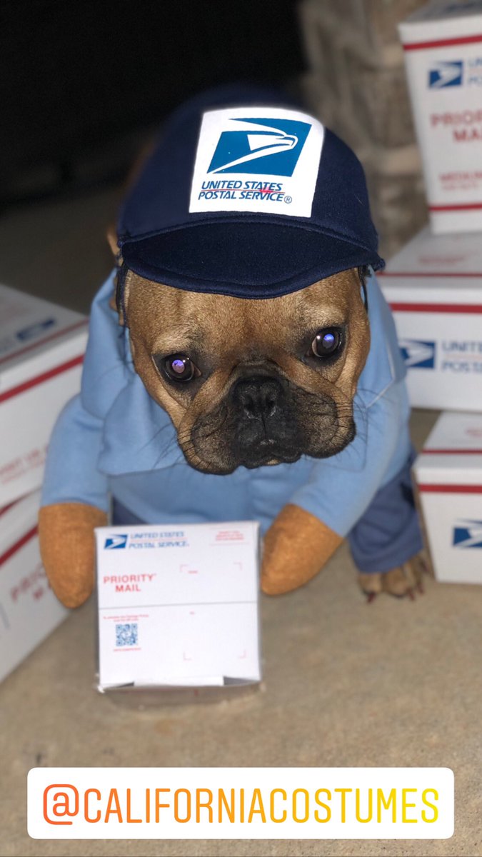 FarmBully's tweet photo. Day 21 of 31 Days of Halloween 🎃
@californiacostumes 
#31DaysOfHalloween #Day21 #Mahogany #USPS #Couier
#MahoganyTheFrenchie #MemoirsOfMahogany #FunFrenchie #LovingLife #BossDog #RockStar #QueenMahogany 
#frenchbulldogs #frenchbully #puppylove #frenchiepuppy #frenchielovers https://t.co/pgJrDcj1qK