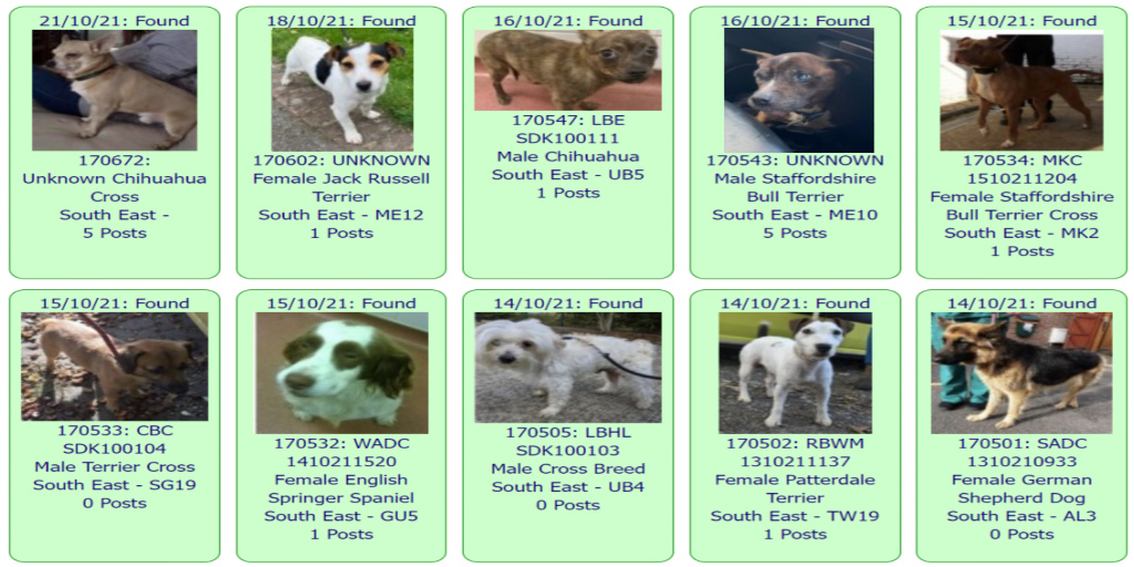 #FOUND #DOGS * SOUTH EAST * October 21st ~ October 14th 2021

These #FoundDogs are on the <a href="/DogLostUK/">DogLost</a> site as being FOUND in our #SouthEast Area

If you see your dog below go to doglost.co.uk &amp; put the ID NUMBER (shown under photo) into the search menu for more details