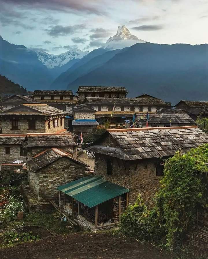 TravelCapturez's tweet photo. Mystic morning in Ghandruk 
.
.
.
.
.
.
.
.
.
.
📸@gautambijay51 #xplorephotography #xplorephotograpy #travel #pokhara https://t.co/BPa85czib9