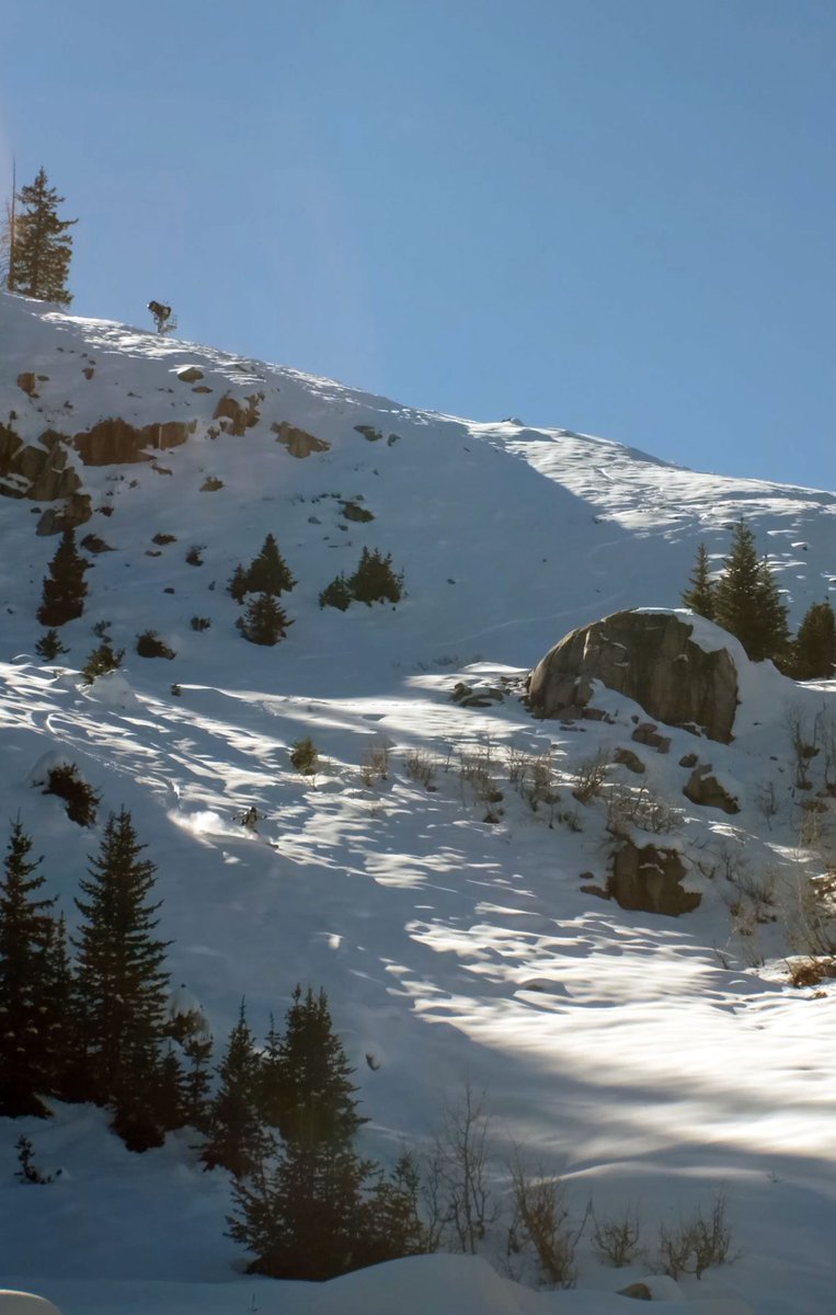 Brighton Resort tweet media