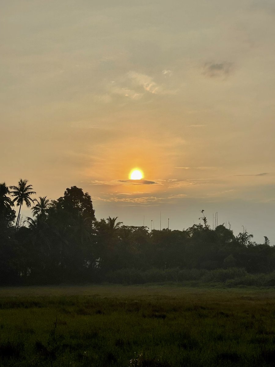 vinyasvkumar's tweet photo. Rising up along with the #Sunshine of the day!😍♥️ You’ll have a blissful Friday along with joyous weekend🌼 https://t.co/sQEccykHi1