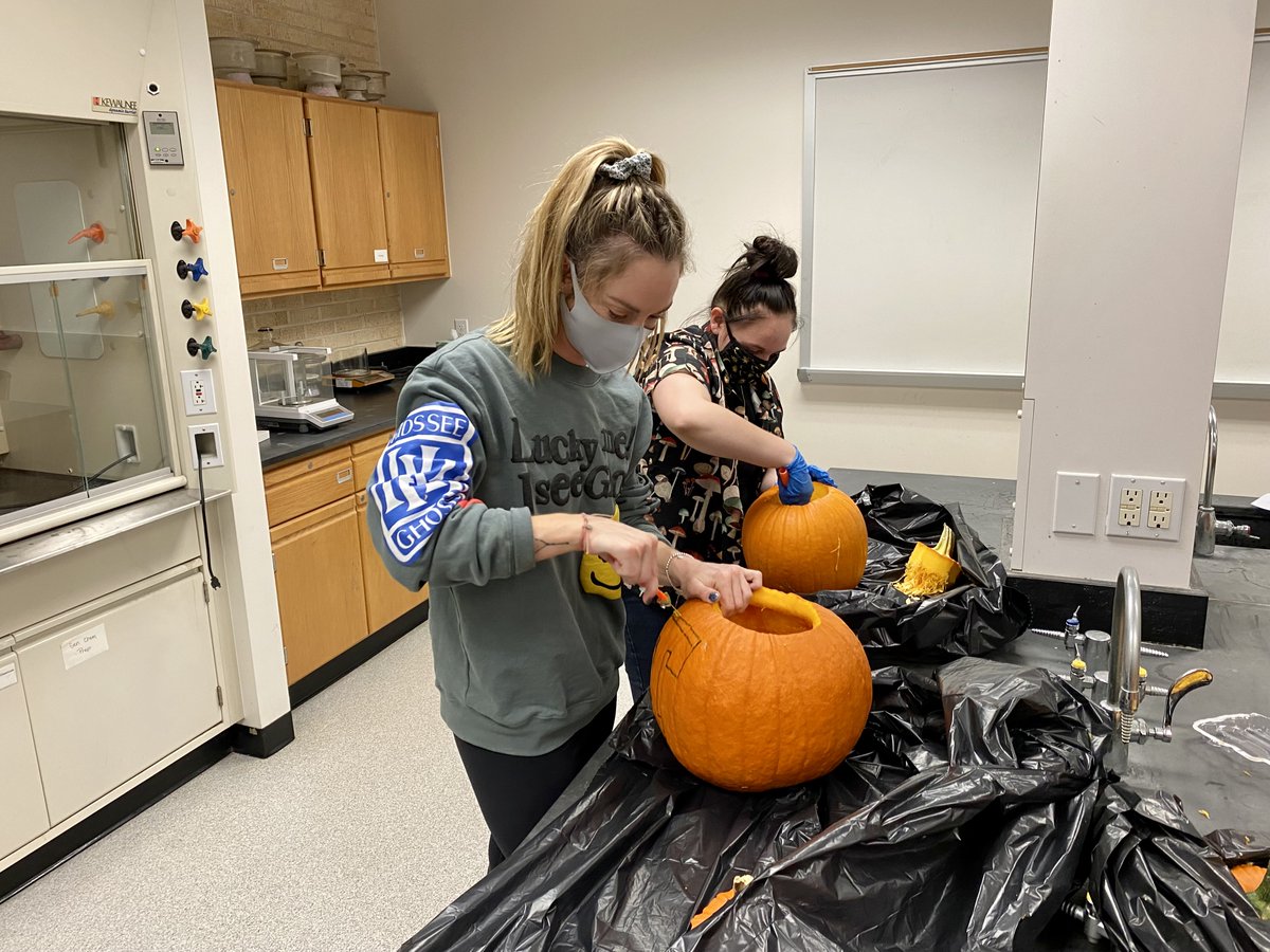 ChemistryTcu's tweet photo. Things are getting spooky in the chemistry department!👻 Check back tomorrow to see the results of our pumpkin carving contest!!🎃@TcuGradStudies  @AndreaGuedez10 @Will_Burnett1 @elyandreyna @alchemist_magy @DT9Dan @alexmenke62 @maegyn10 @klinova https://t.co/srDDeXvwsK