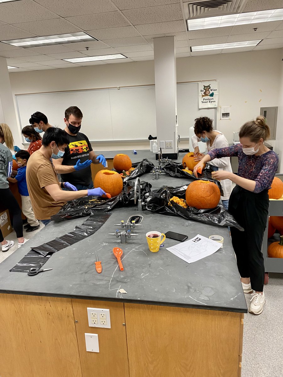 ChemistryTcu's tweet photo. Things are getting spooky in the chemistry department!👻 Check back tomorrow to see the results of our pumpkin carving contest!!🎃@TcuGradStudies  @AndreaGuedez10 @Will_Burnett1 @elyandreyna @alchemist_magy @DT9Dan @alexmenke62 @maegyn10 @klinova https://t.co/srDDeXvwsK