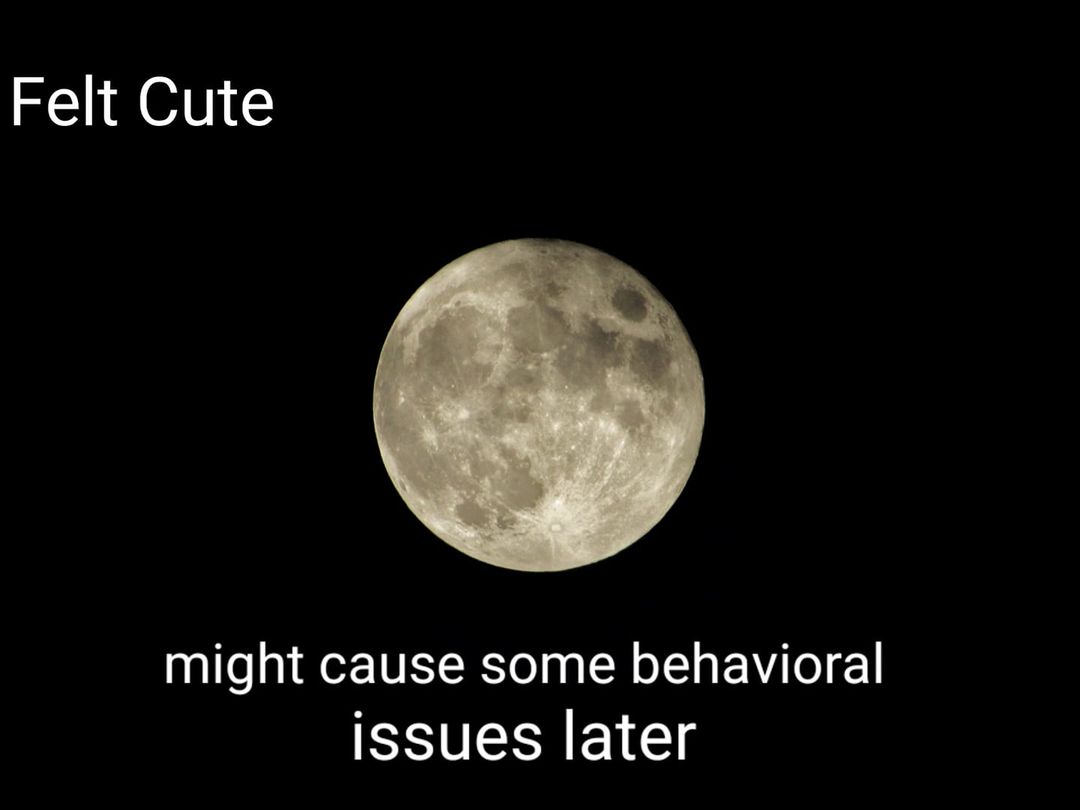 teachergoals's tweet photo. Sounds about right. 😂🤣 https://t.co/wL5ErcyHfi
