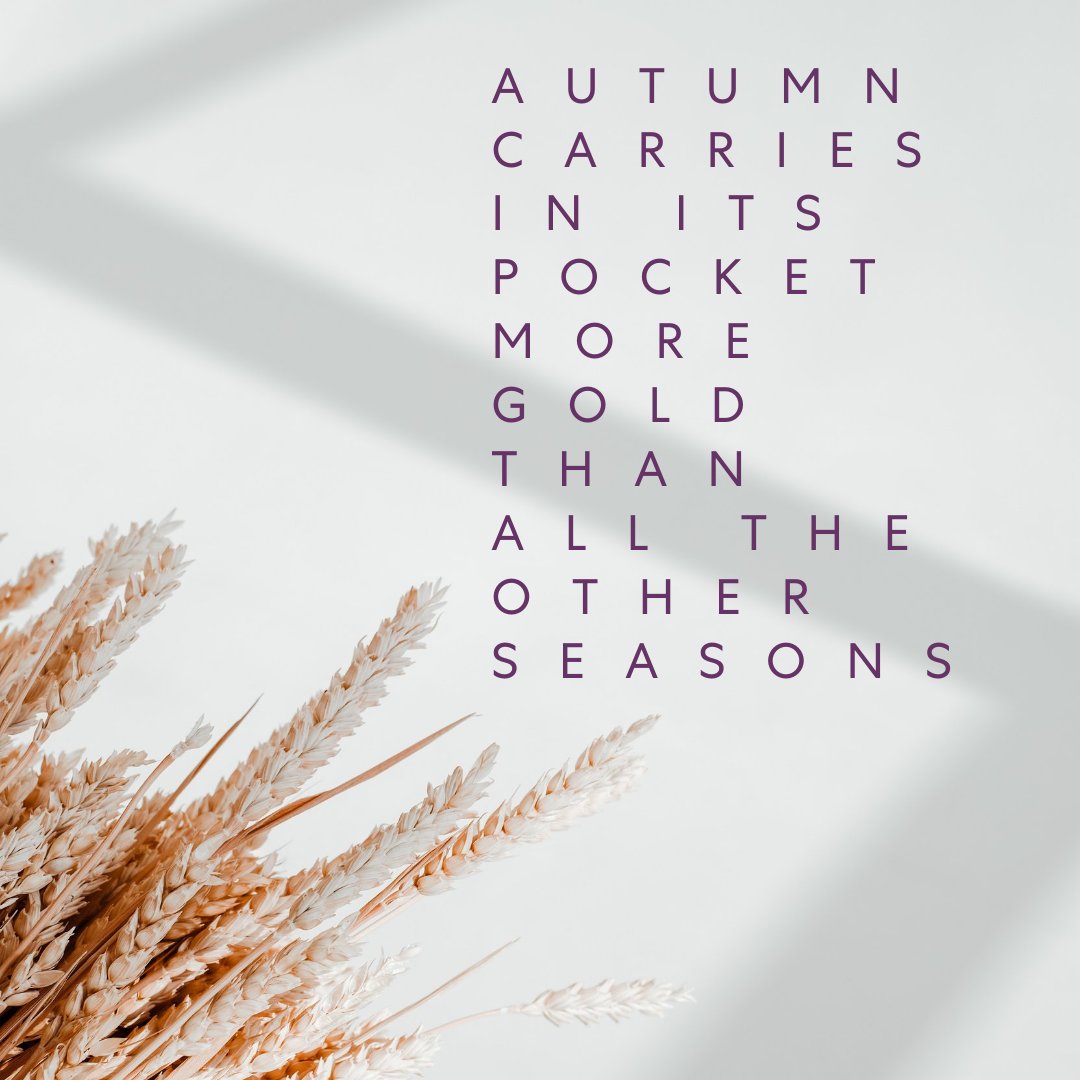 wenbychazdean's tweet photo. What are some of your favorite things about fall?🍂

Get in the fall spirit by checking out all of our limited edition seasonal collections on our website https://t.co/ynEQwdWG5d!

#WENhair #fall #fallbeauty #fallskincare #fallhaircare #fallfragrances #haircare #beauty #skincare https://t.co/mI0czJfm5b