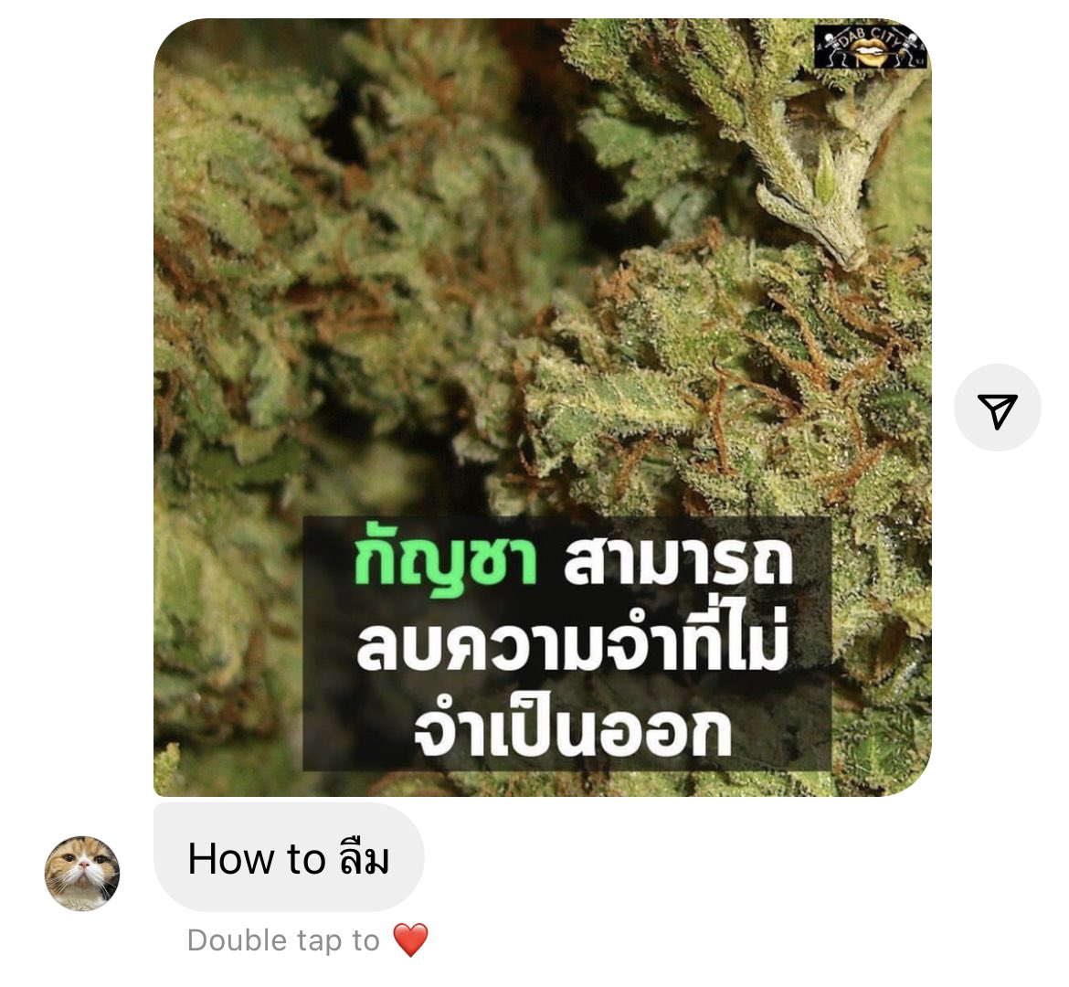 เรากำลังจะลืมแกได้แล้วนะ
