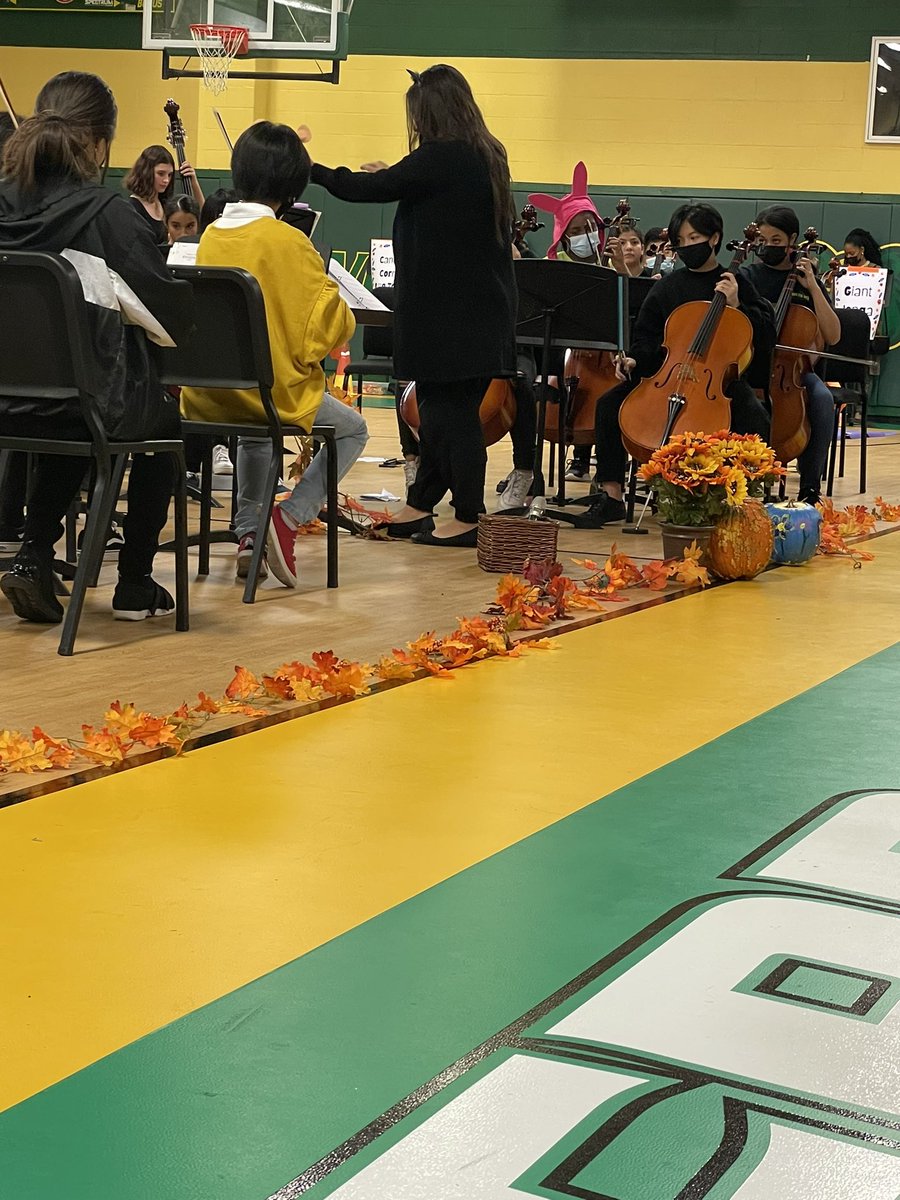 WebbMsorchestra tweet media