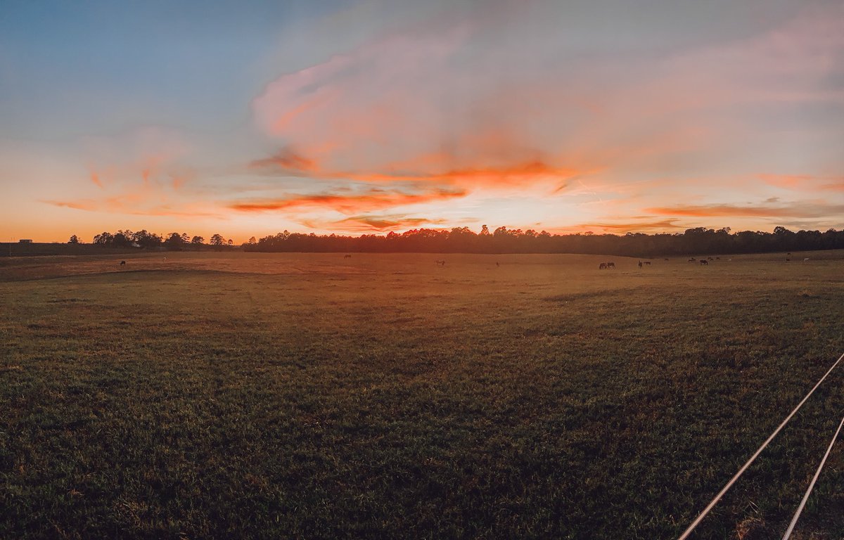 kaykillian02's tweet photo. If this isn’t what you want your future to look like, then leave me alone! My home, my horses, my life. So blessed! https://t.co/x6kHLVf1S4