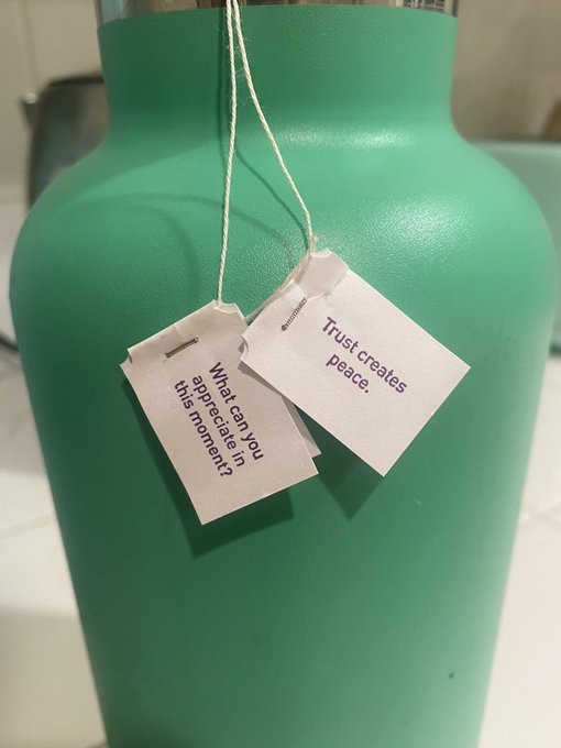 Love me some yogi tea 🧘🏻&zwj;♀️ https://t.co/xvim5vAWyo<a href="/tag/newprofilepic"class="tags"><span>#newprofilepic</span></a>
