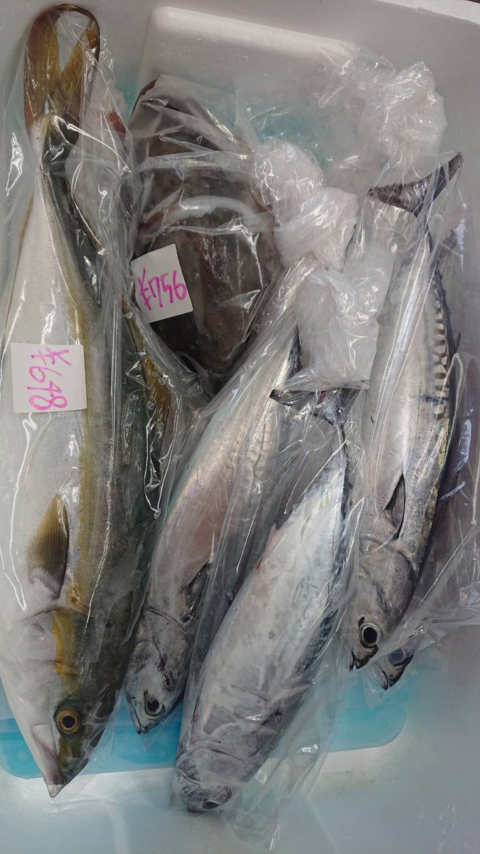 ssmaruhachimaru's tweet photo. #平塚のお魚を食べよう
#朝獲れ鮮魚 
#販売開始
#カンパチ
#スミイカ
画像のお値段です✨
#ソウダガツオ 
108円

今日はお刺身かな（笑）…

1尾のお値段ですよ

ご予約来店���待ちしております！

売り切れご容赦ください☺️

#湘南しらす丸八丸
#販売情報
#maruhatimaru https://t.co/wDSlsYM7vS