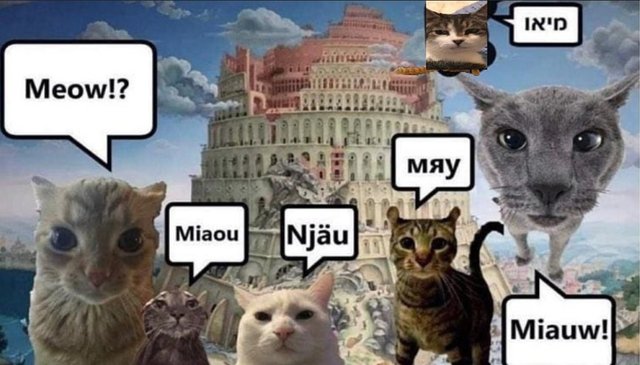 neural net guesses memes tweet media