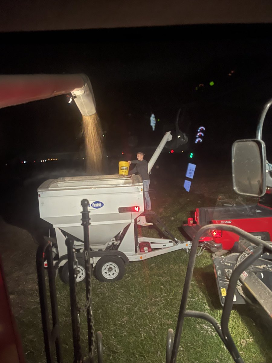 MeeceUPAgronomy's tweet photo. Late night number 2 but just finished up the research farm!!!  Couldn’t of done it without @HolmesTal and @mitch_holmes_ help!!!  Looking forward to compiling this information and starting the results book….but first more plot harvest on the agenda for tomorrow. @United_Prairie https://t.co/CLM1EvUtkz
