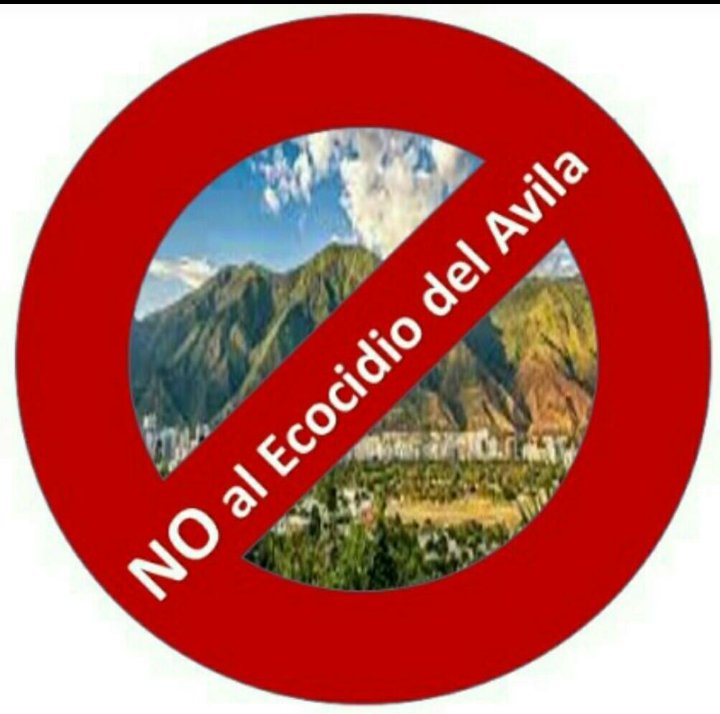 jroman526's tweet photo. #ElÁvilaSeRespeta
El Ávila se respeta. No al ecocidio. Protesta activa https://t.co/l8oDGeL3Pq