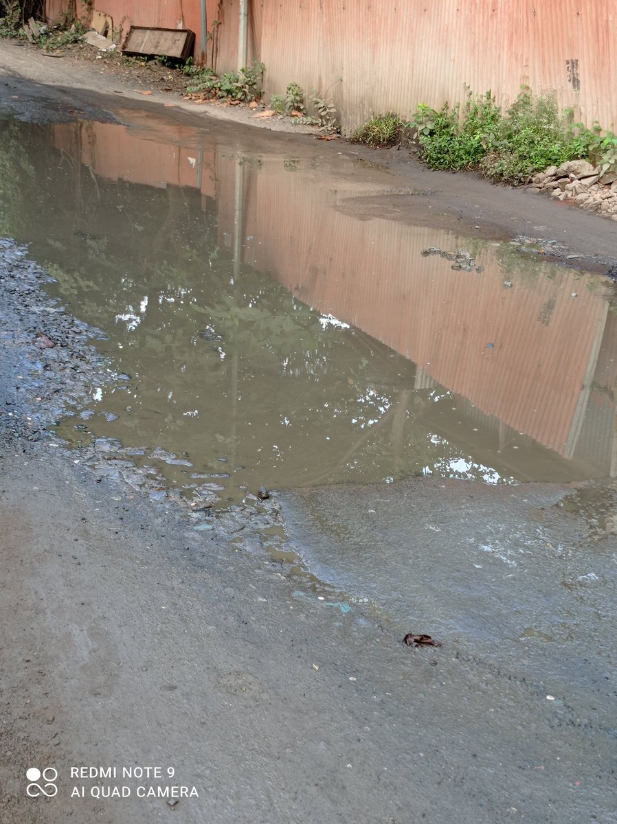 Bee19861's tweet photo. @TMCaTweetAway @ShivSena @mieknathshinde Last week I had tweeted about drainage/sewage water on the road at Mogharpada leading to the temple and lake ,no action taken till now,dengue is on the rise..... https://t.co/rj9pGytFFp