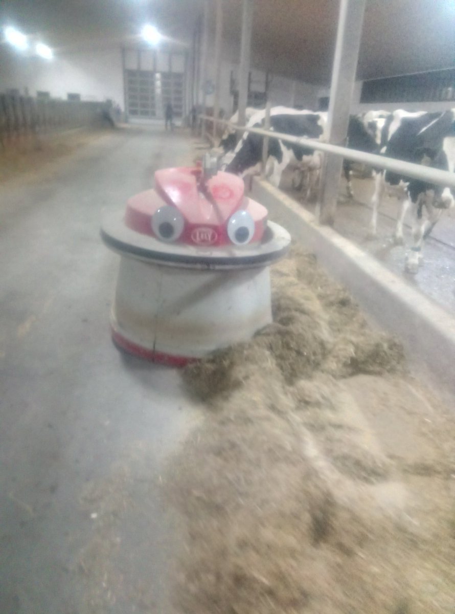 Evening feed push